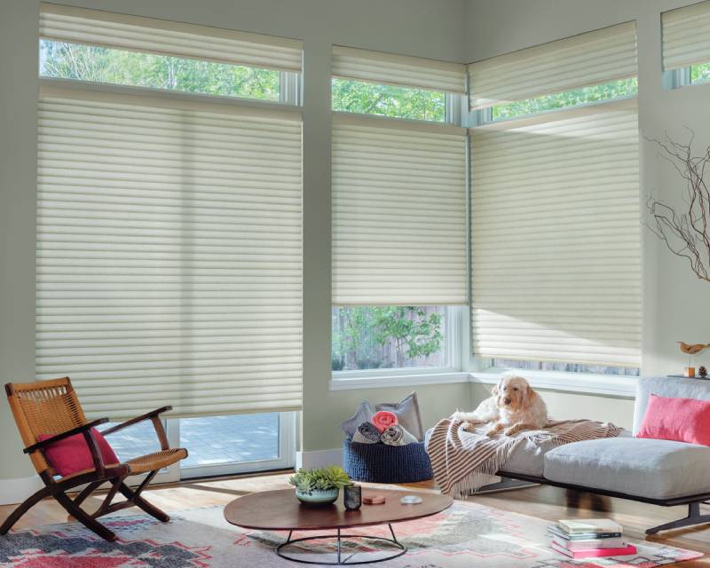 Hunter Douglas Sonnette® Cellular Shades Black Hills, South Dakota (SD), solar shades, screen shades