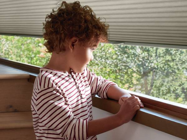 Duette® Honeycomb Shades from The Blinds Guy Black Hills near Spearfish, South Dakota (SD)