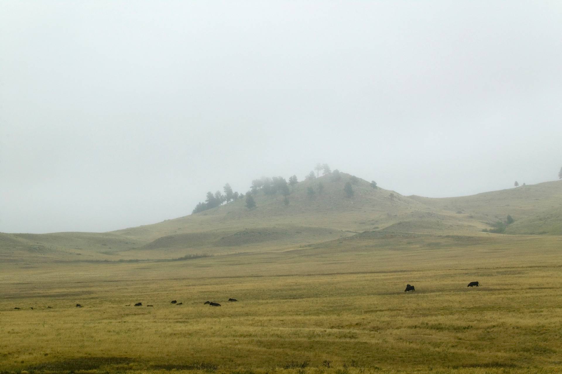 Custom Window Treatments Near Hot Springs, SD The Blind Guy
