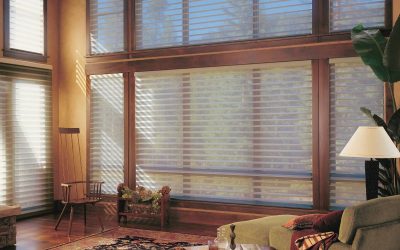 Window Treatments for Large Windows